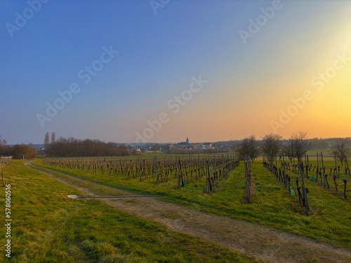 Stunning winter sunset over the picturesque Berrwiller vineyard with winding farm road  towering trees  and charming village church spire in the distance  a captivating scene with saturated colors