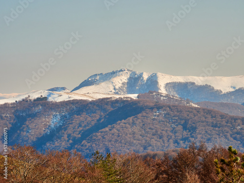 Bianditz nevado photo