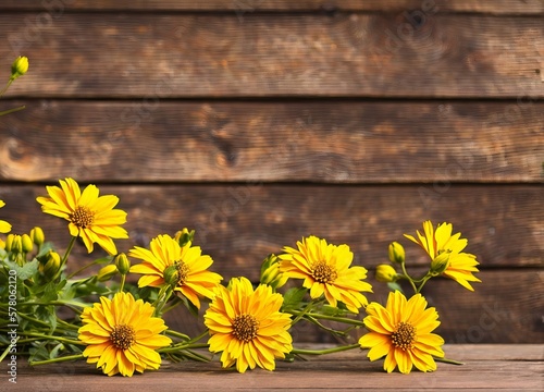beautiful flowers on wooden background