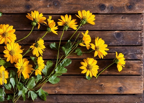 beautiful flowers on wooden background