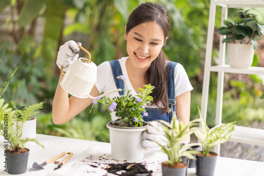 Spring hobby, happy asian young woman hand holding watering can in flowerpot, houseplant with dirt or soil on table at home, taking care gardening plant in garden, green tropical, beauty and nature. Spring hobby, happy asian young woman hand holding watering can in flowerpot, houseplant with dirt or soil on table at home, taking care gardening plant in garden, green tropical, beauty and nature.