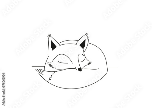 Sleeping fox