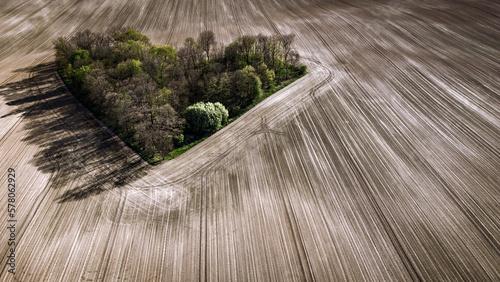 Heart of Poland - Drone Photo - Love - Heart of the trees in the grey land - Poland - Lower Silesia - Gmina trzebnica © Adam