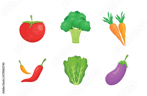 Tomato, Broccoli, Carrot, Chili, Lettuce, Eggplant.Fresh organic food, healthy eating illustration in flat style. vegetables for farm market, vegetarian salad.Fresh vegetables