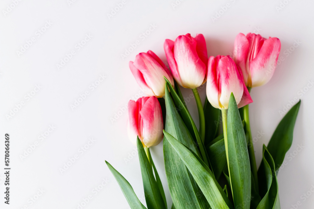 Pink tulip flowers bouquet on white background. Flat lay, top view. Selective focus. Shallow depth of field