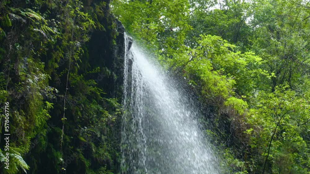 The waterfall of Los Tilos on La Palma, Spain. The waterfall of Los Tilos on La Palma, Spain.