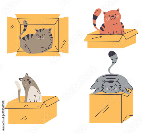 Cat in box pet cute animal doodle line art style concept. Vector cartoon graphic design element illustration 
