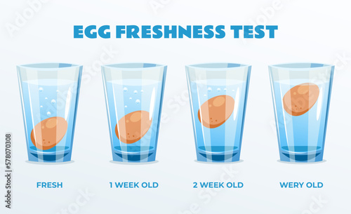 Egg water glass experiment freshness test action concept. Vector graphic design element illustration