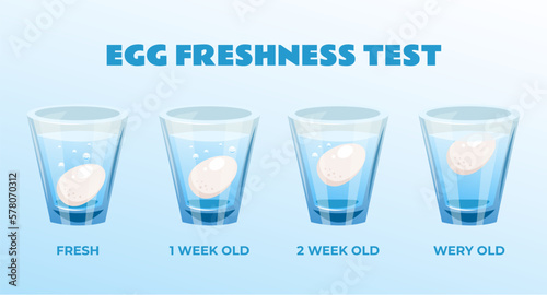 Egg water glass experiment freshness test action concept. Vector graphic design element illustration