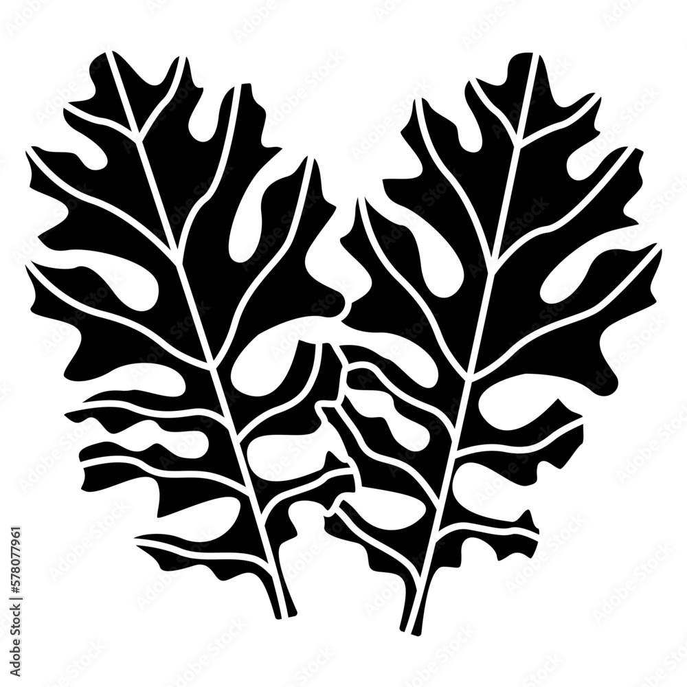 Fototapeta premium Dusty Miler Leaf icon