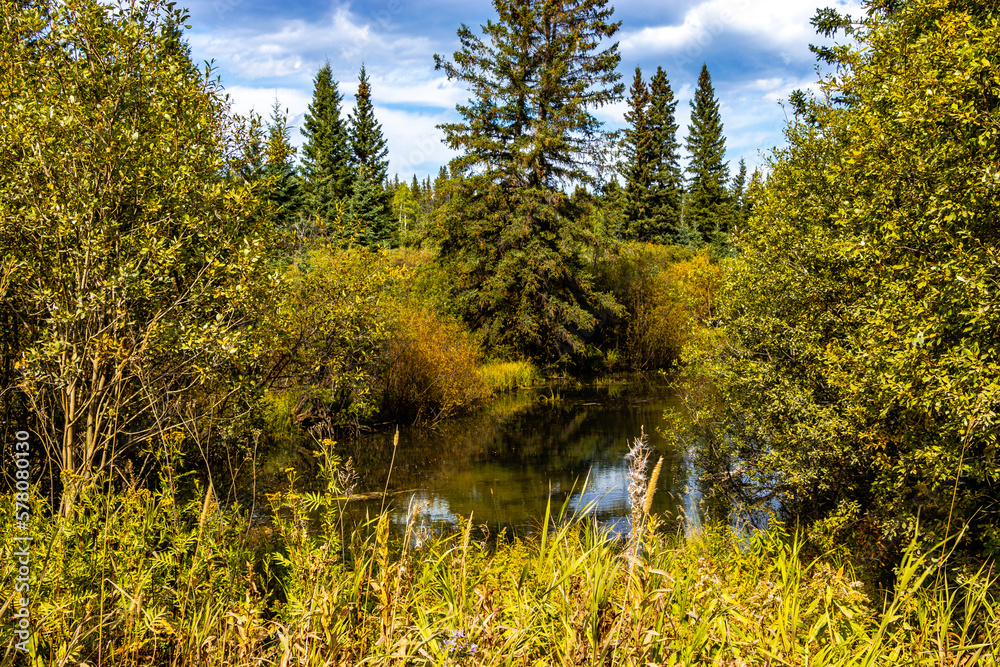 Fototapeta premium A drive around Clearwater County Alberta Canada