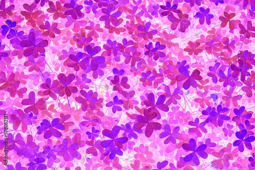 abstract purple and violet flowers wallpaper background for design , texture for fantastic backdrop © Yaroslav
