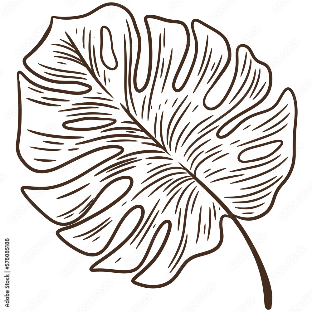 Obraz premium Leaves line art