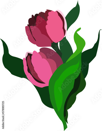 Tulip with leaves