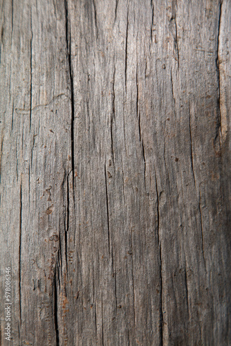 old wood texture