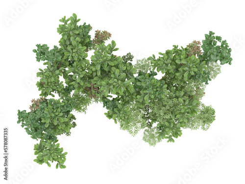 Realistic grass isolated on transparent background. 3d rendering - illustration