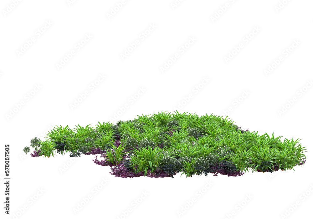 Field of plants isolated on transparent background. 3d rendering - illustration Field of plants isolated on transparent background. 3d rendering - illustration