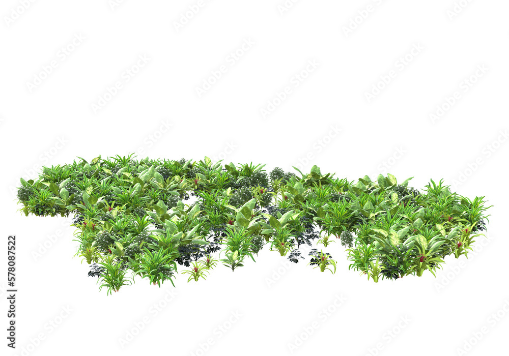 Field of plants isolated on transparent background. 3d rendering - illustration Field of plants isolated on transparent background. 3d rendering - illustration