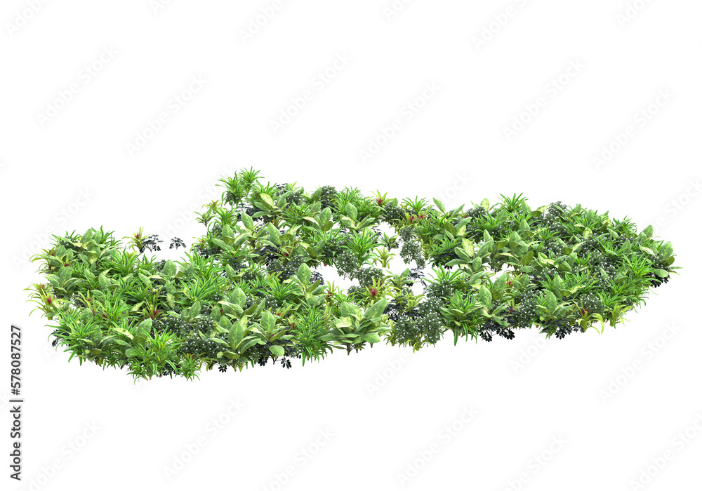 Obraz premium Field of plants isolated on transparent background. 3d rendering - illustration