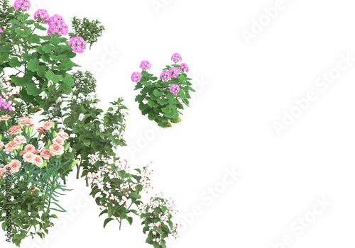 Field of plants isolated on transparent background. 3d rendering - illustration © Elena