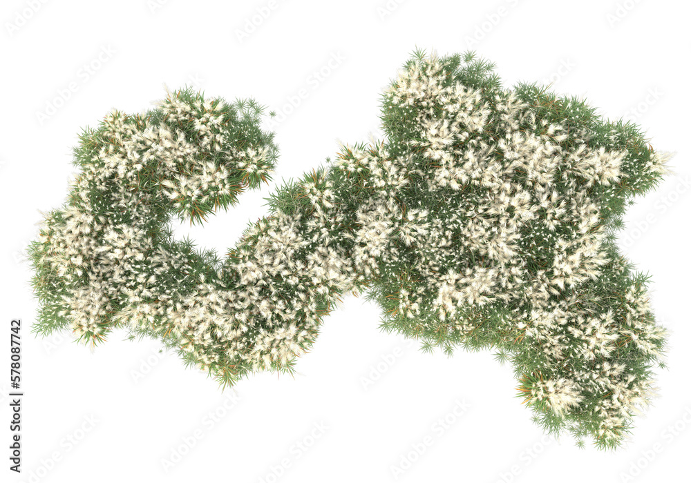 Field of plants isolated on transparent background. 3d rendering - illustration Field of plants isolated on transparent background. 3d rendering - illustration