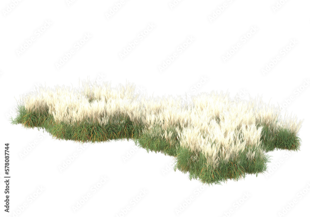 Field of plants isolated on transparent background. 3d rendering - illustration Field of plants isolated on transparent background. 3d rendering - illustration
