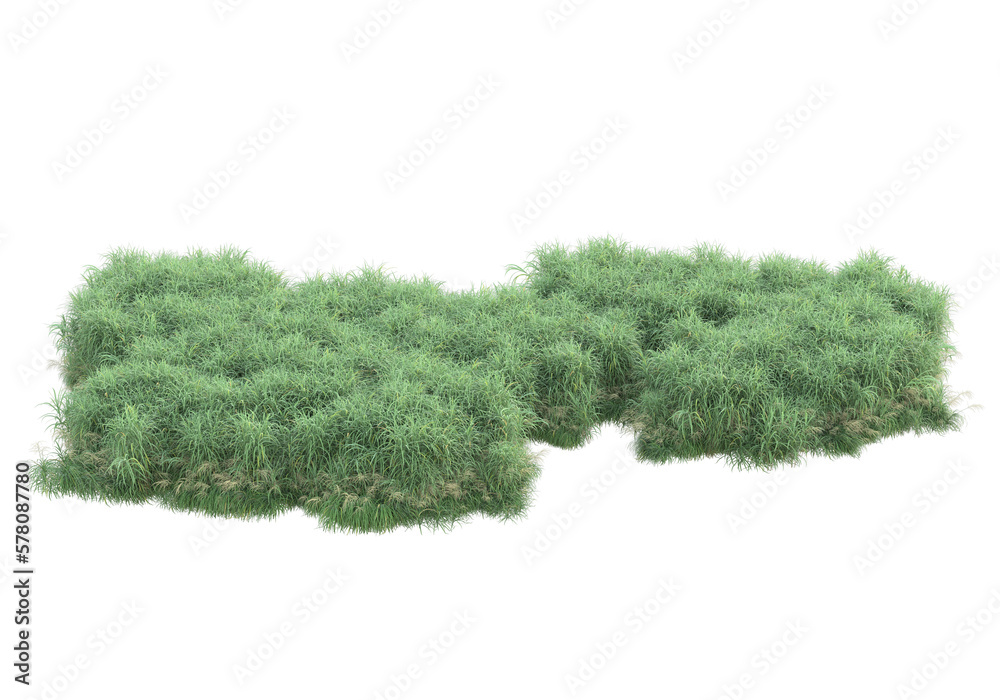 Field of plants isolated on transparent background. 3d rendering - illustration Field of plants isolated on transparent background. 3d rendering - illustration