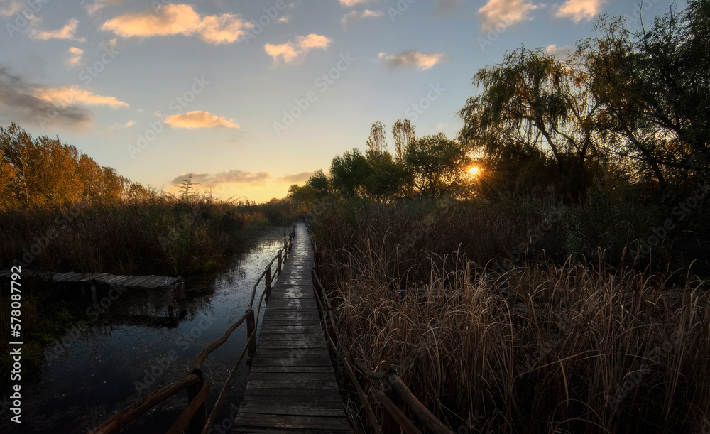 Wooden path over the swamp at Fall sunrise Jegricka Nature Park