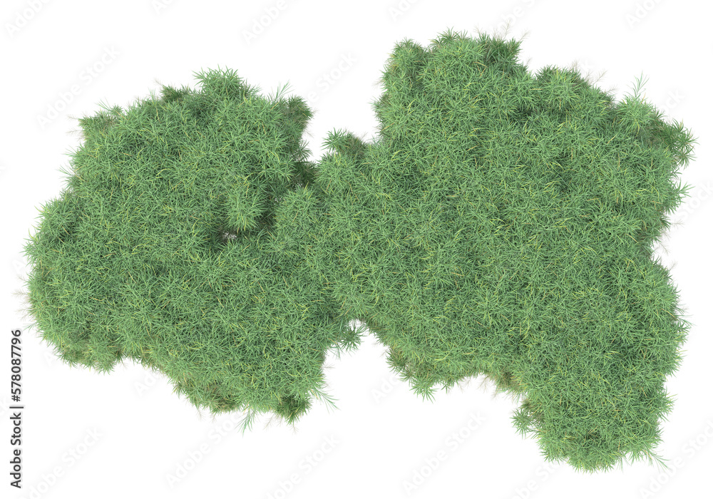 Field of plants isolated on transparent background. 3d rendering - illustration Field of plants isolated on transparent background. 3d rendering - illustration