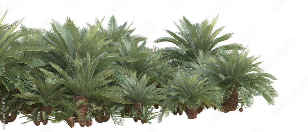 Field of plants isolated on transparent background. 3d rendering - illustration Field of plants isolated on transparent background. 3d rendering - illustration