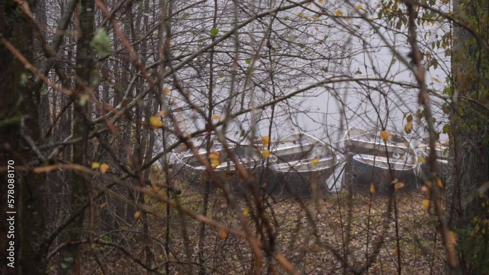 Row Boats Moored at Lakeside in Forest a Misty Morning Row Boats Moored at Lakeside in Forest a Misty Morning