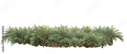 Field of plants isolated on transparent background. 3d rendering - illustration