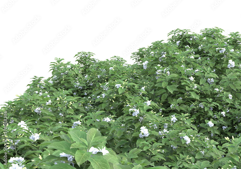 Field of plants isolated on transparent background. 3d rendering - illustration Field of plants isolated on transparent background. 3d rendering - illustration