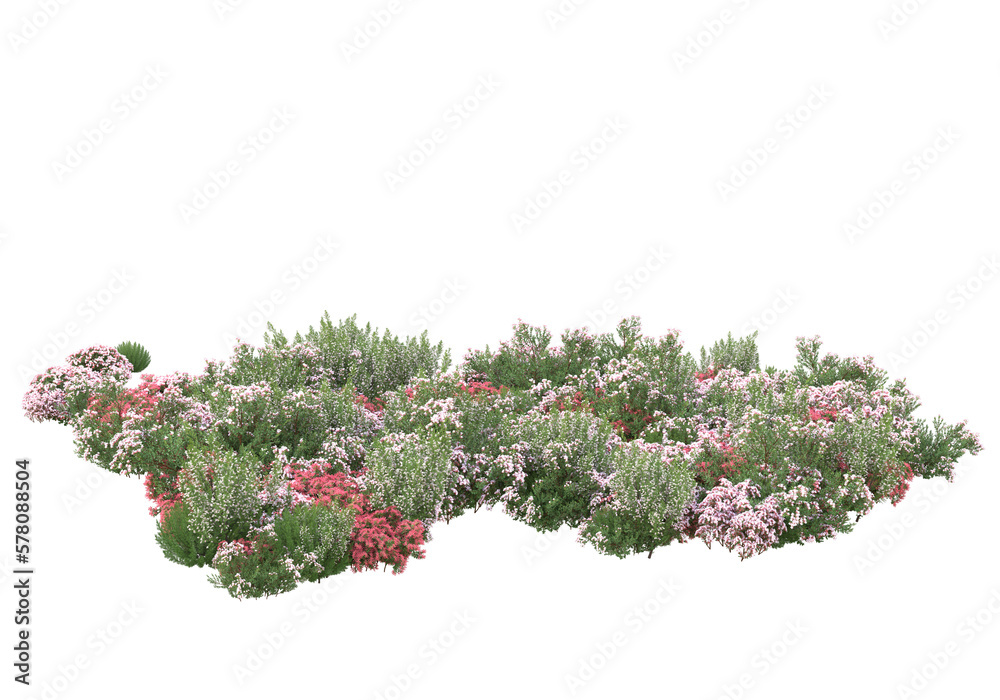 Fototapeta premium Field of grass with flowers isolated on transparent background. 3d rendering - illustration