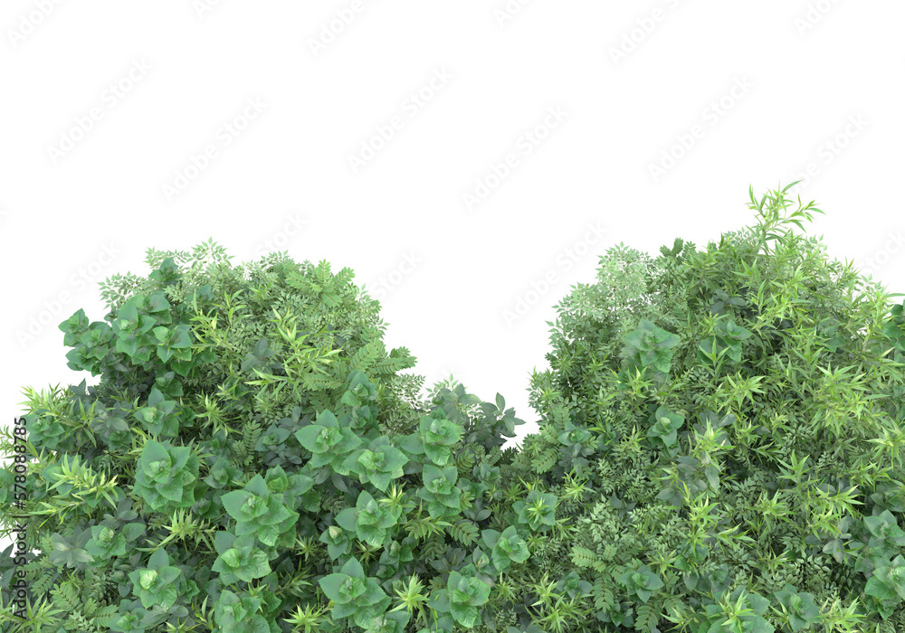Obraz premium Field of grass with flowers isolated on transparent background. 3d rendering - illustration
