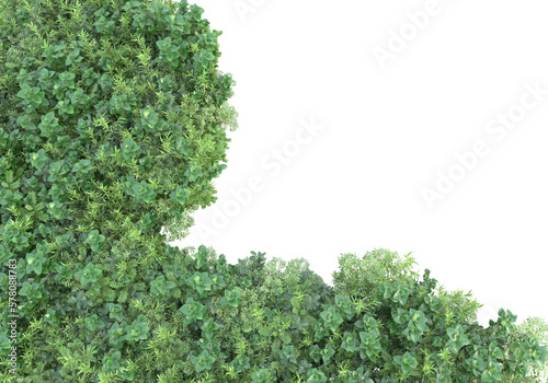 Field of grass with flowers isolated on transparent background. 3d rendering - illustration