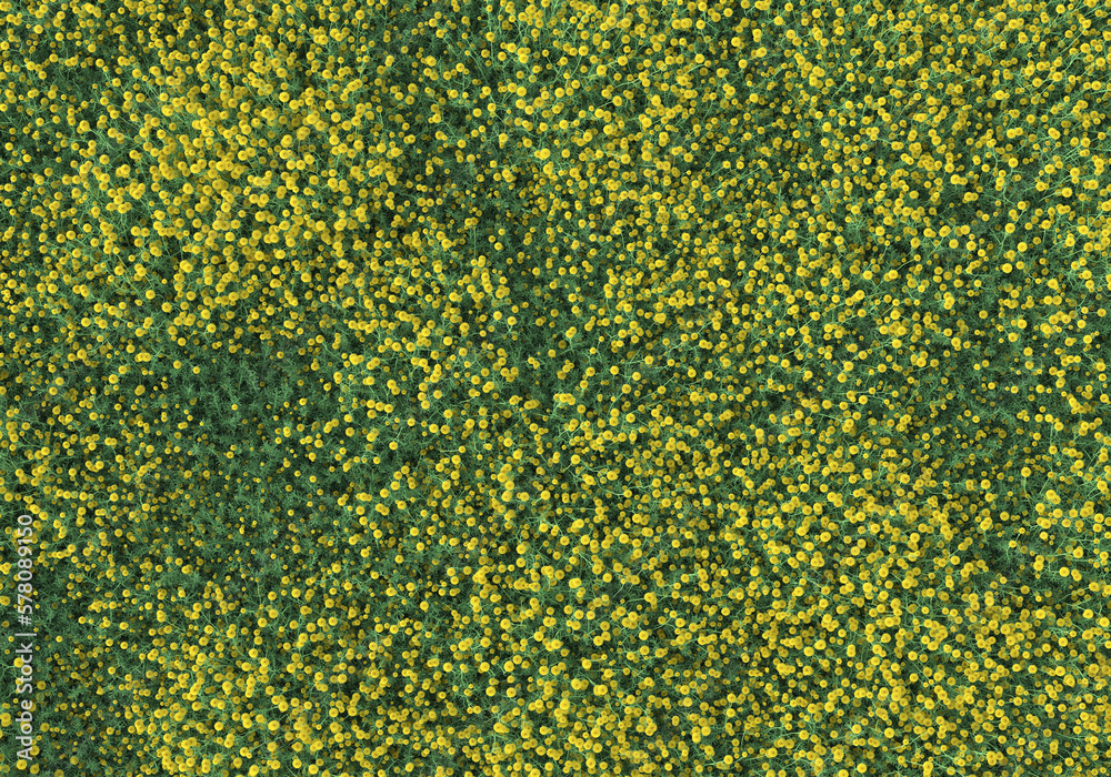 Field of foliage isolated on transparent background. 3d rendering - illustration Field of foliage isolated on transparent background. 3d rendering - illustration