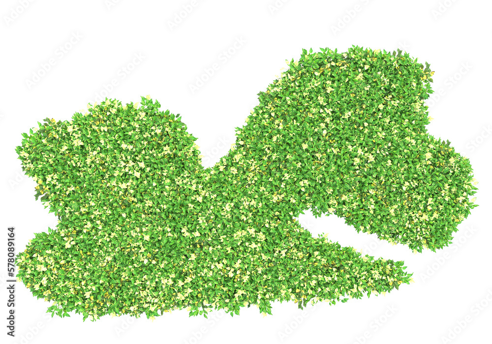 Field of foliage isolated on transparent background. 3d rendering - illustration Field of foliage isolated on transparent background. 3d rendering - illustration