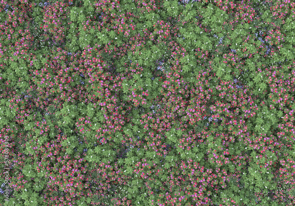 Field of foliage isolated on transparent background. 3d rendering - illustration Field of foliage isolated on transparent background. 3d rendering - illustration