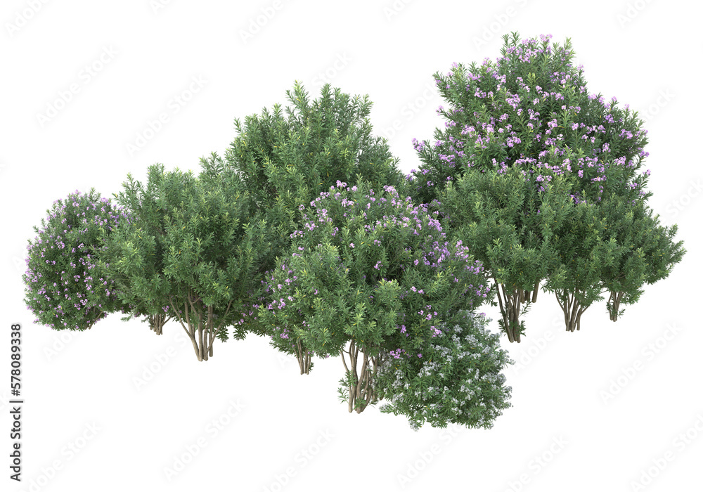 Obraz premium Field of foliage isolated on transparent background. 3d rendering - illustration