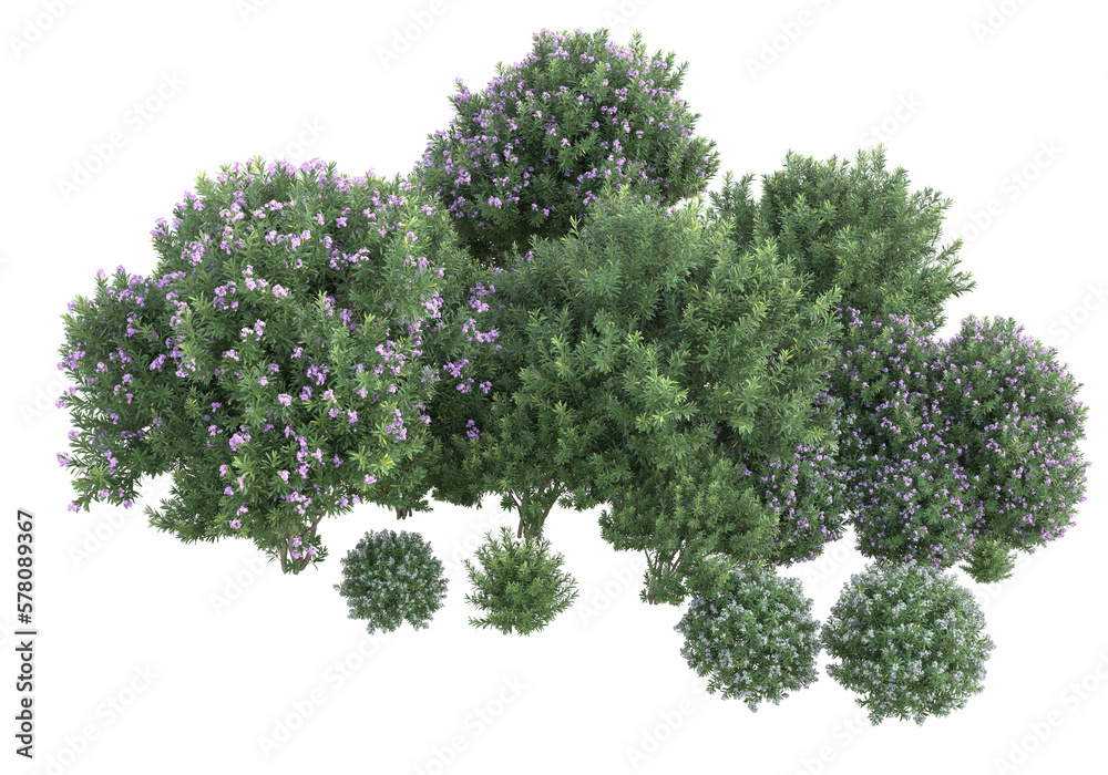 Obraz premium Field of foliage isolated on transparent background. 3d rendering - illustration