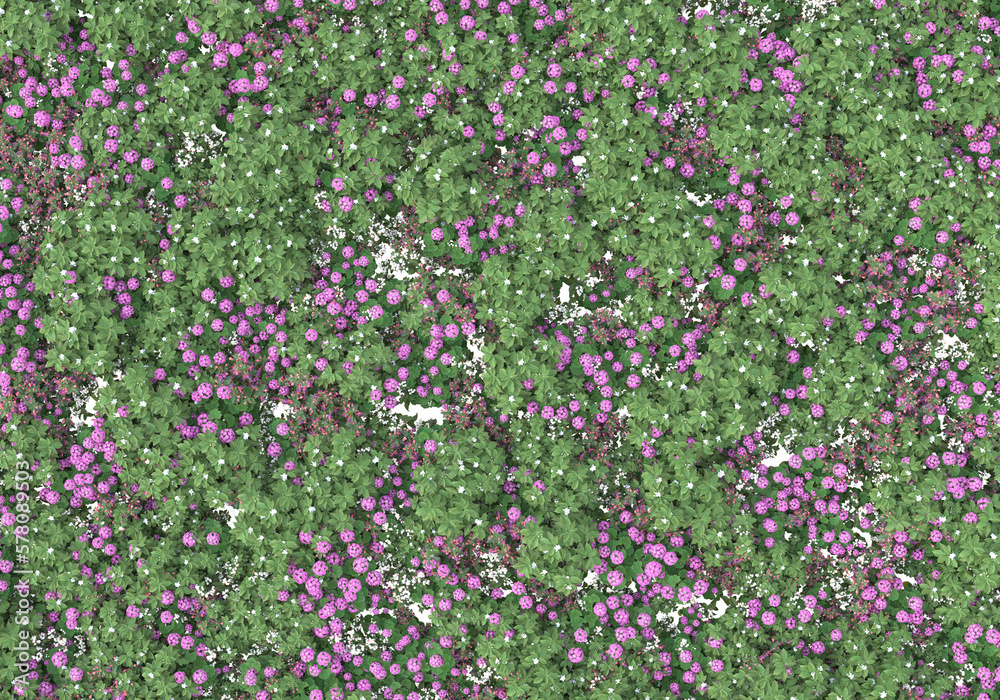 Field of foliage isolated on transparent background. 3d rendering - illustration