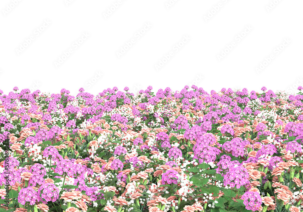 Field of grass isolated on transparent background. 3d rendering - illustration Field of grass isolated on transparent background. 3d rendering - illustration
