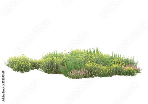 Field of grass isolated on transparent background. 3d rendering - illustration photo