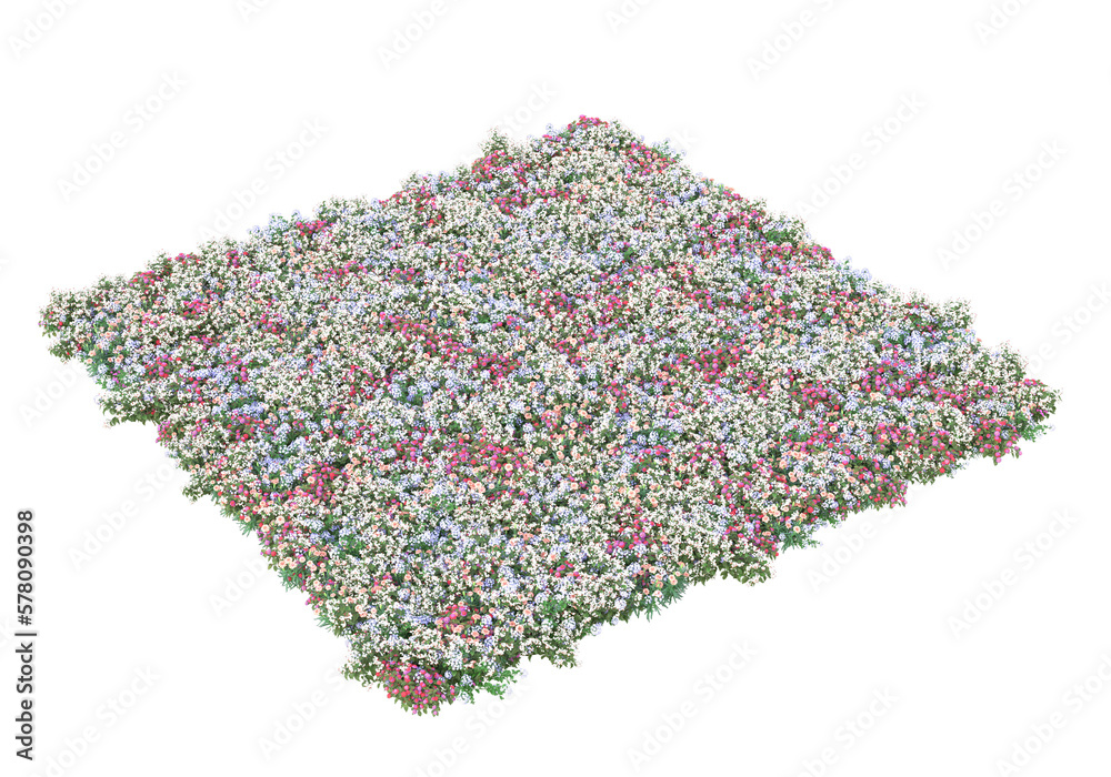 Field of grass isolated on transparent background. 3d rendering - illustration