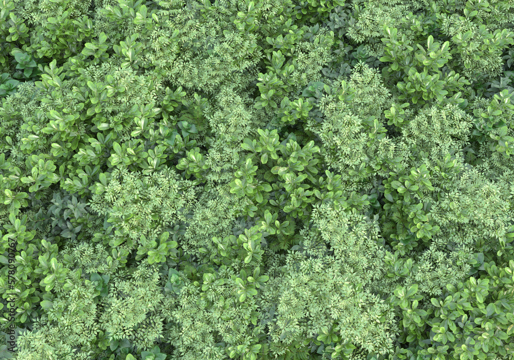 Field of grass isolated on transparent background. 3d rendering - illustration Field of grass isolated on transparent background. 3d rendering - illustration
