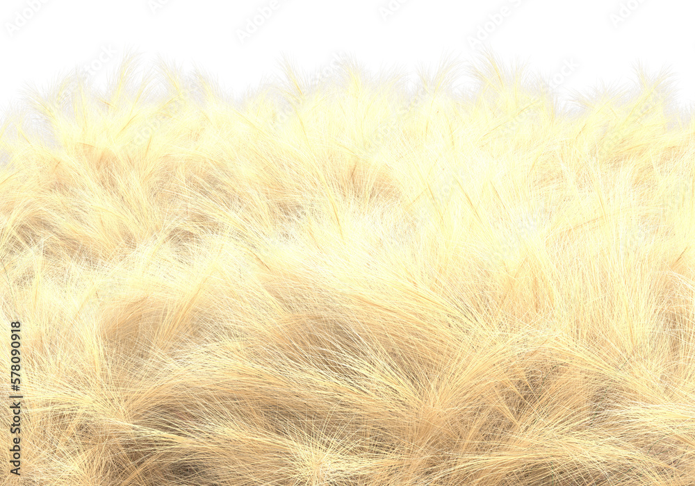 Fototapeta premium Tall plants on transparent background. 3d rendering - illustration
