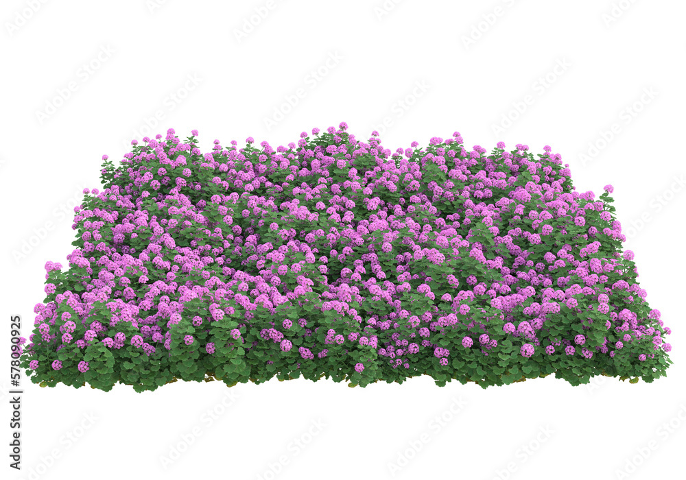 Tall plants on transparent background. 3d rendering - illustration Tall plants on transparent background. 3d rendering - illustration