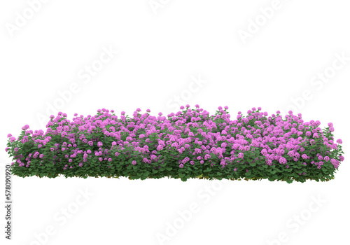 Tall plants on transparent background. 3d rendering - illustration