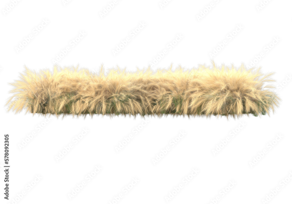 Foliage isolated on transparent background. 3d rendering - illustration Foliage isolated on transparent background. 3d rendering - illustration